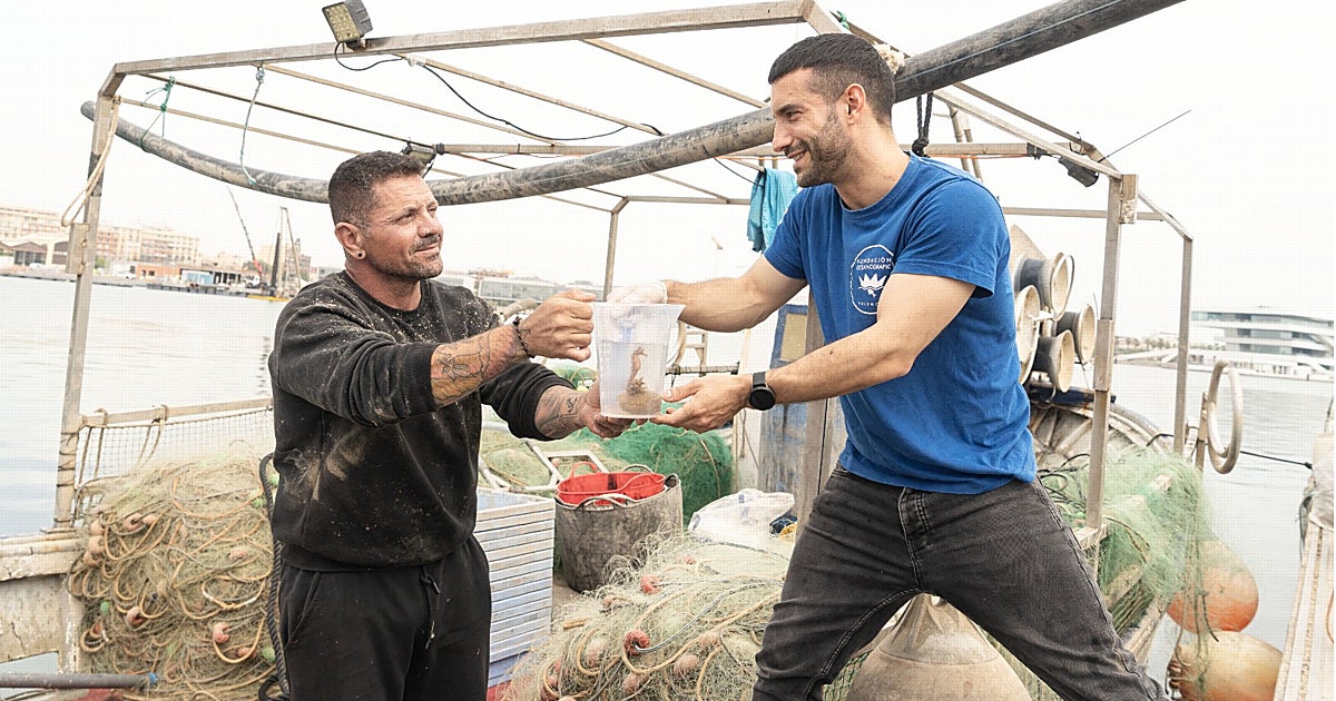 Los pescadores se implican en salvar a los caballitos de mar en el Mediterráneo