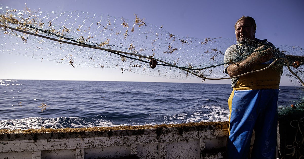 Plan de emergencia contra el alga asiática: los ayuntamientos no tendrán que pagar el impuesto por su depósito en vertederos