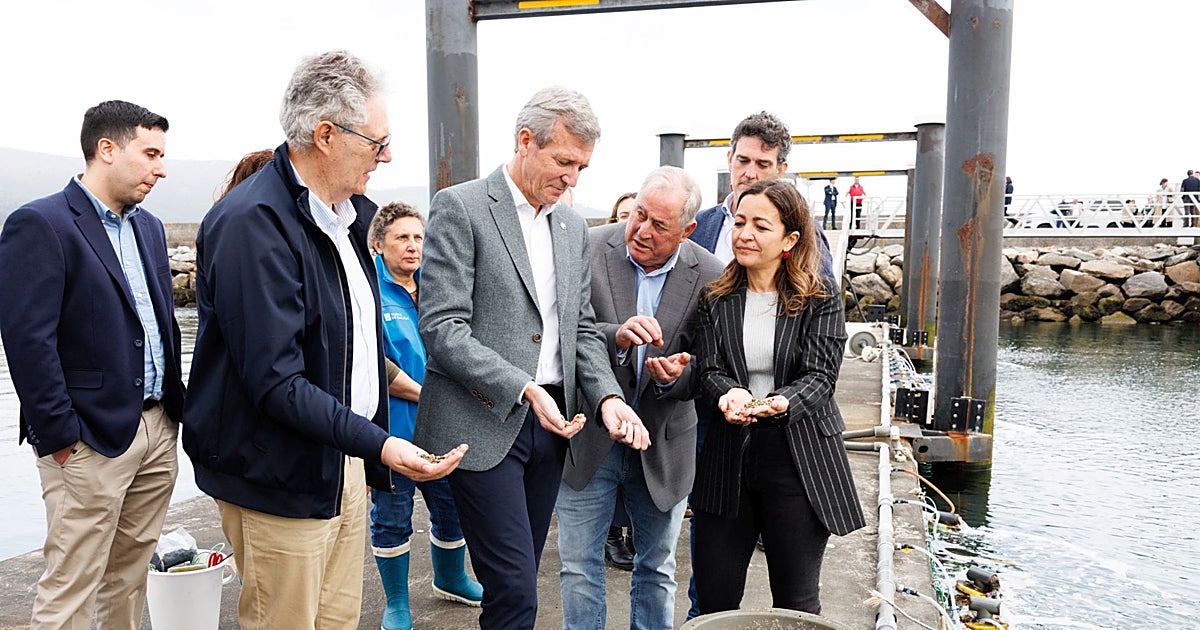 Rueda ve la «legislatura ingobernable» tras el fracaso del decreto del alquiler