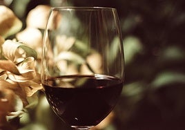 Las bodegas Vega de Yuso sacan al mercado la  añada 2025 con una nueva imagen