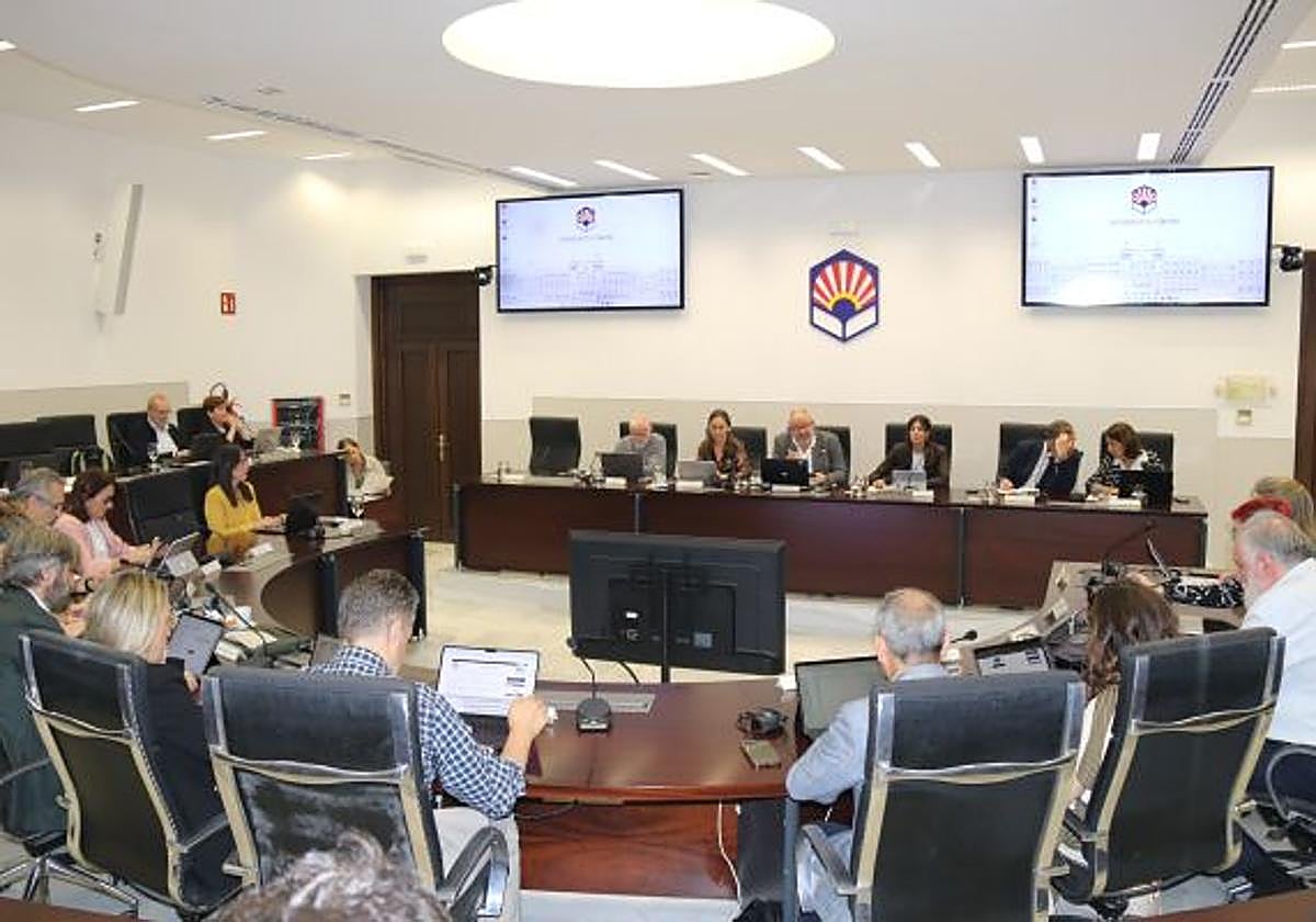 La UCO aprueba 76 plazas de profesor titular y crea la Cátedra CECO de Empresa Familiar — image 3