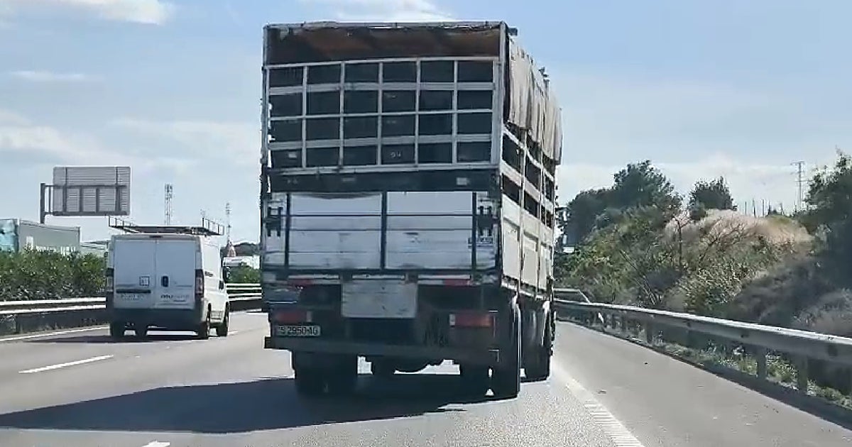 Interceptado en Valencia un camión con 26 deficiencias graves que circulaba de forma «anómala» por la A-7