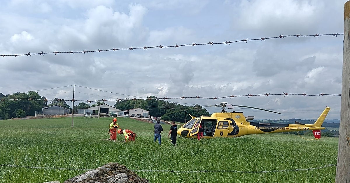 Rescatadas las vacas que cayeron en un precipicio de Lugo con el apoyo de un helicóptero de Asturias