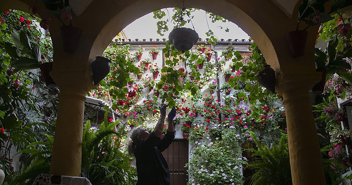 Los Patios de Córdoba hacen eclosionar el Mayo Festivo: 64 recintos se abren desde hoy a miles de visitantes