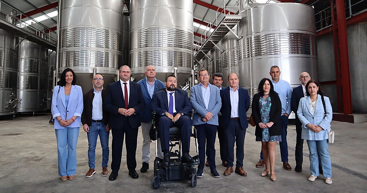 Castilla-La Mancha consolida la modernización vitivinícola con 491 proyectos Vinatï
