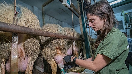 Alba Marchante, ganadera: «No me importa no ir de fiesta por atender a mis ovejas»
