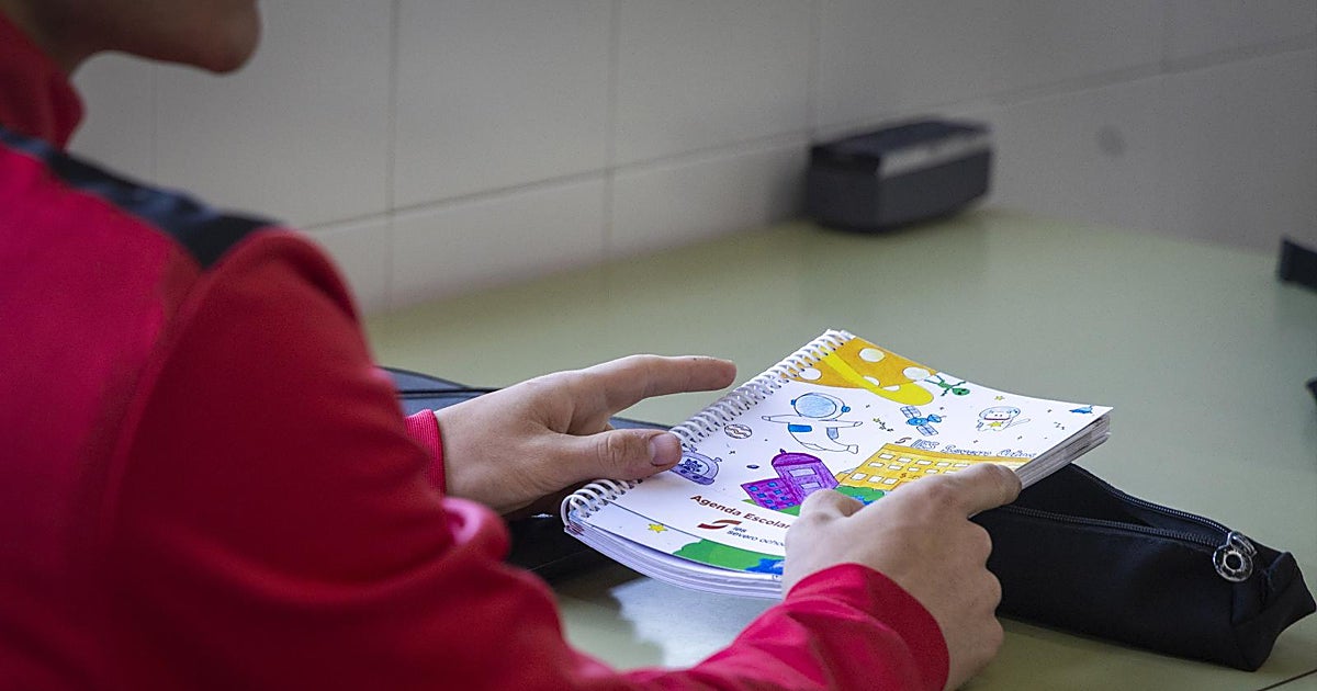 Llorca refuerza la libre elección entre valenciano o castellano en la matriculación escolar