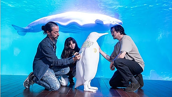 El OceanFest sumerge València en los ecosistemas polares a través del arte, la ciencia y el debate