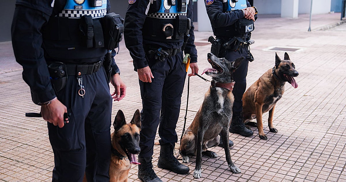 Nao, Urko y Gea, perros rescatados que ya son «uno más» en la policía