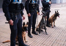Nao, Urko y Gea, perros rescatados que ya son «uno más» en la policía