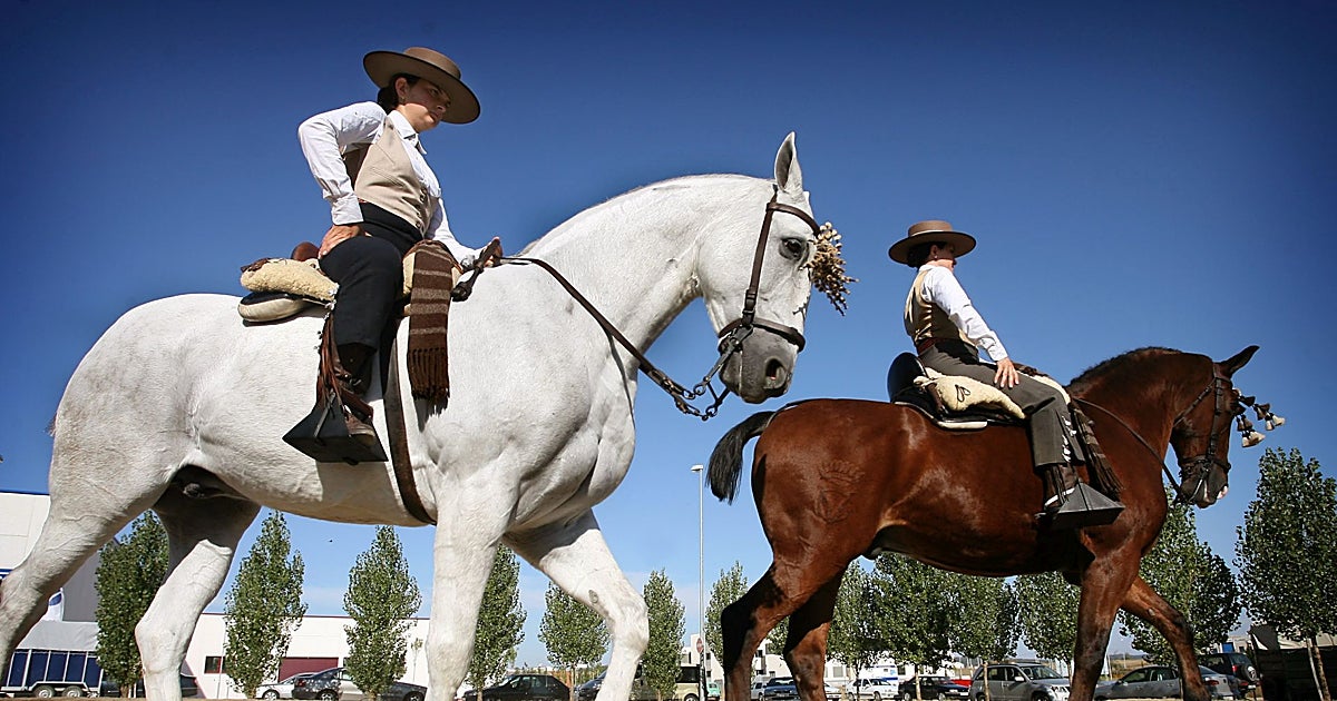 La doma vaquera en Castilla y León, declarada Bien de Interés Cultural de carácter Inmaterial