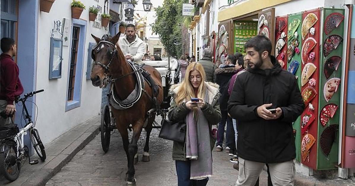 Herido tras ser atropellado por un caballo desbocado en la Judería de Córdoba