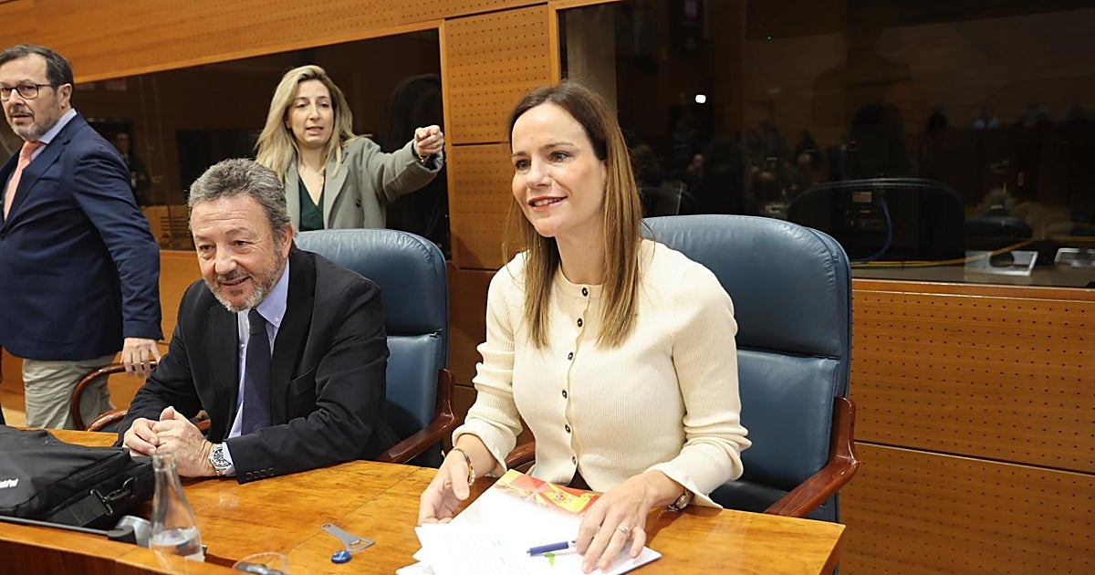 Vox insiste al PP de Ayuso con imponer la prioridad nacional en Madrid para vivienda y sanidad