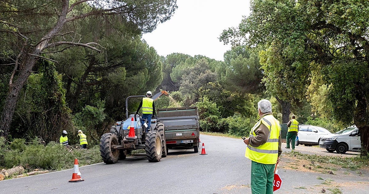 La Diputación de Córdoba lidera la prevención contra incendios: limpia las cunetas de 11 carreteras