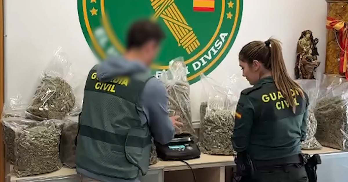 El persistente hedor a marihuana destapa una plantación en una urbanización de chalés en Picassent