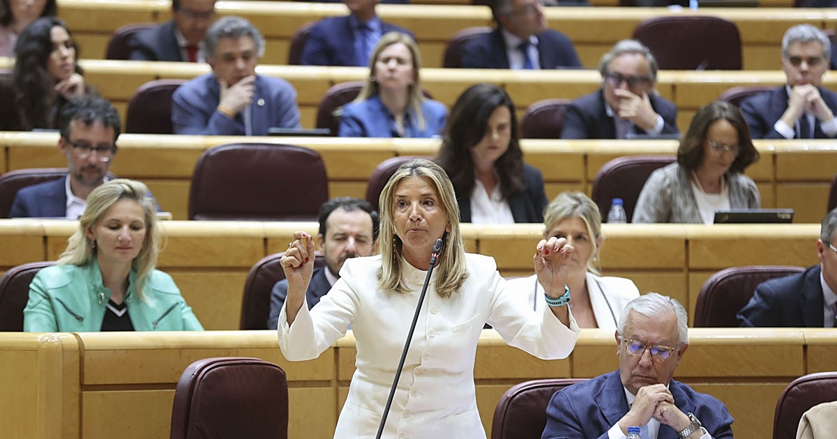 El PP estalla en el Senado contra Montero: «No son accidentes laborales, son asesinatos»