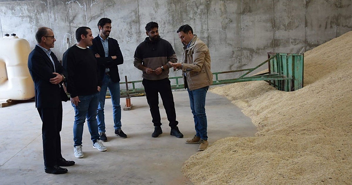 La Diputación de Cuenca destina 700.000 euros a autónomos y micropymes