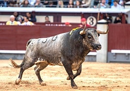 À Punt ofrece en directo la corrida de Fuente Ymbro este domingo en Las Ventas por San Isidro