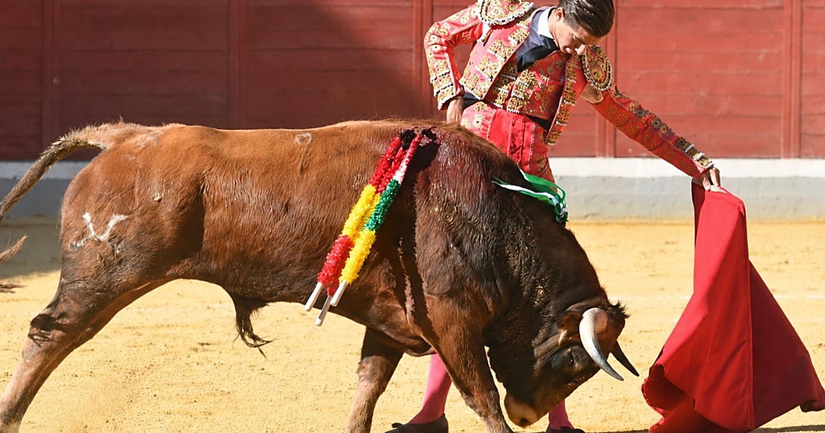 Esteban Gordillo debuta con picadores este domingo en Torrijos