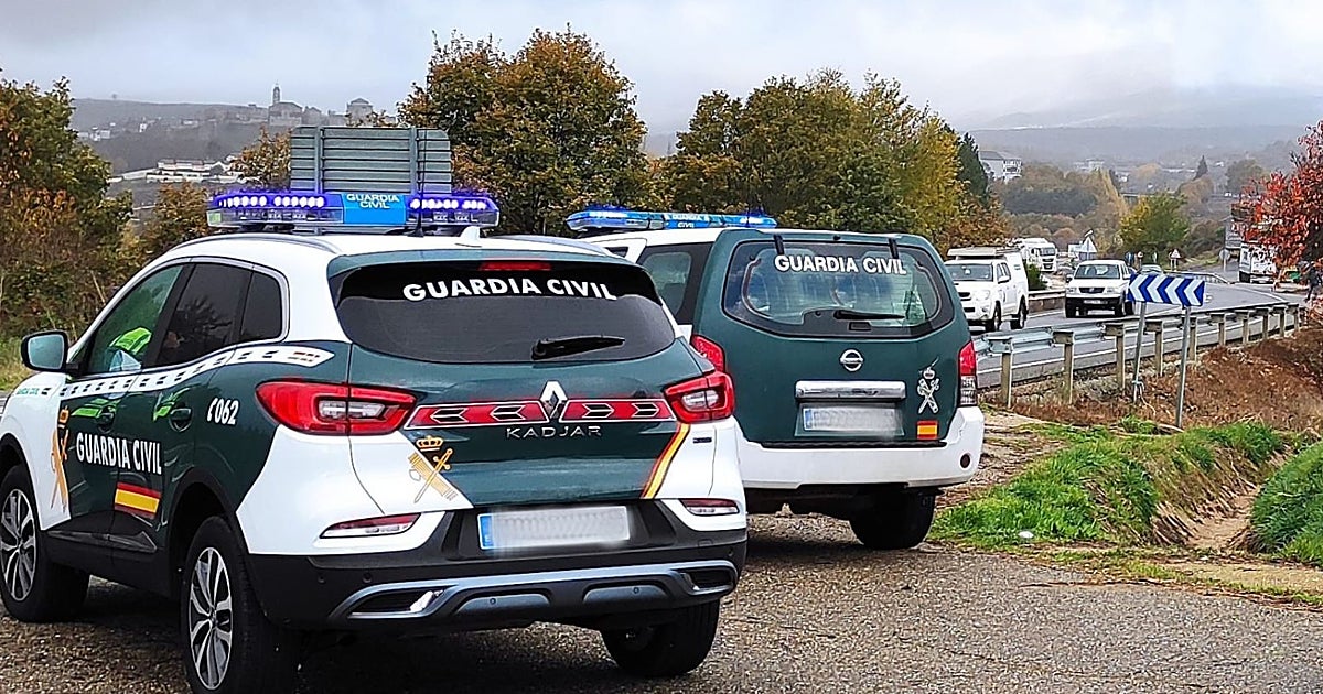Obligados a abatir a una res brava cuando estaba a punto de entrar en la autovía