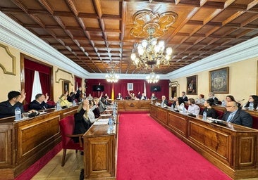 El pleno de Lugo aprueba la nueva organización, con un ahorro del 40% en salarios al cobrar menos concejales