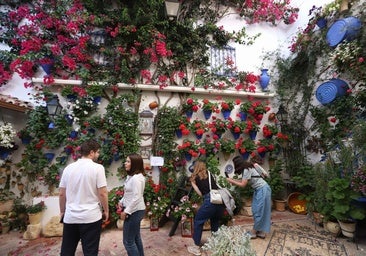 Los ganadores del concurso de patios, en imágenes