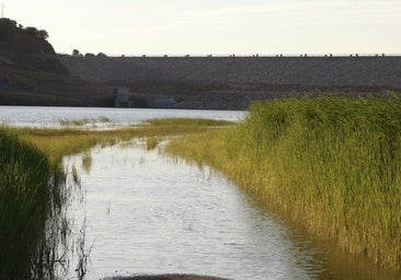 El Supremo anula la norma que permite plantas fotovoltaicas flotantes en embalses tras un recurso de Aragón