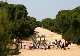 Los caminos del Rocío: geografía de la mayor peregrinación de Andalucía
