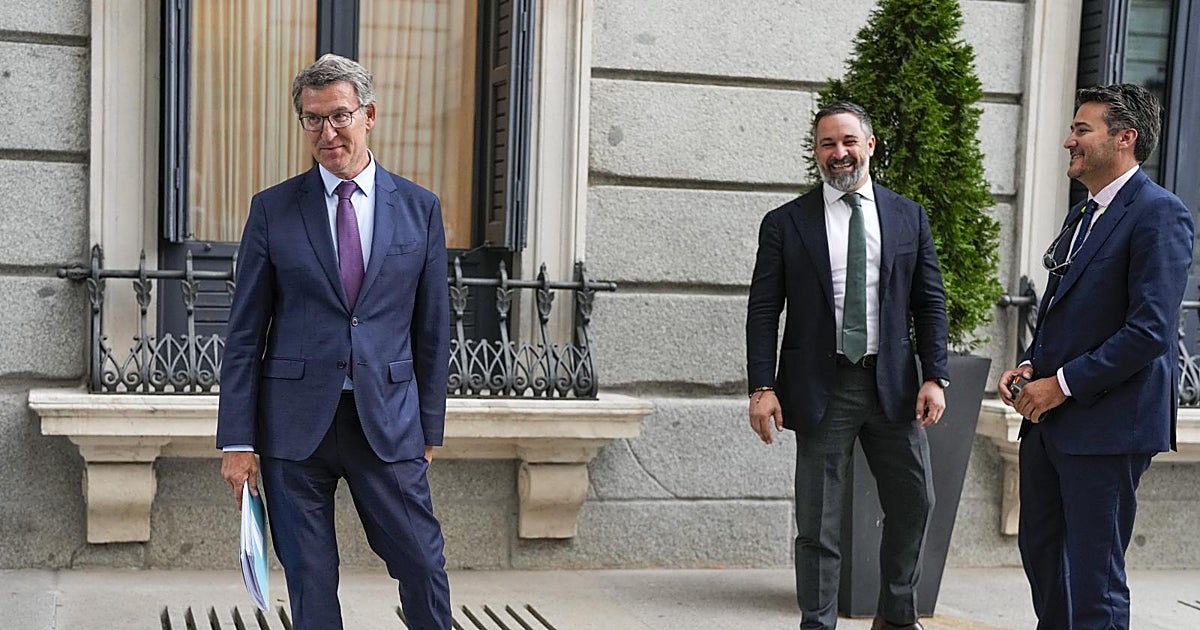 El problema de Feijóo tras Andalucía: Vox es imprescindible