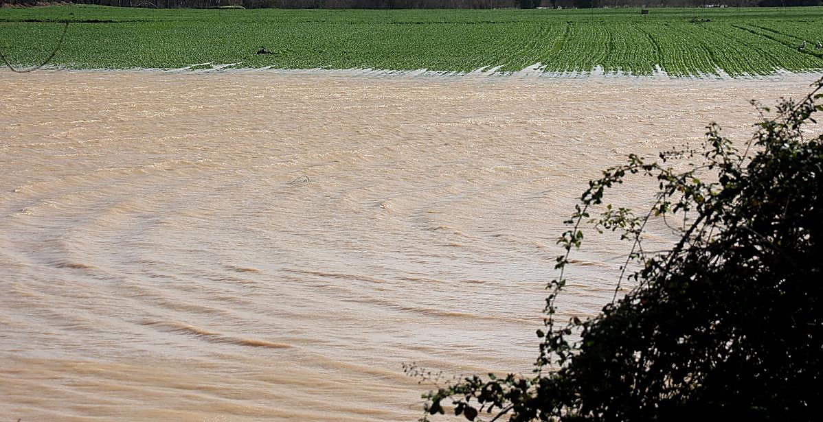 La Junta aprueba destinar 11,4 millones en Córdoba al arreglo de vías rurales, dañadas por los temporales