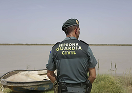 Investigado un hombre en Telde (Gran Canaria) por matar a golpes a sus cuatro perros