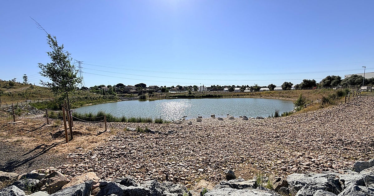 Así es la nueva zona verde de Illescas: 120.000 m2, humedales y más de 8.000 árboles y arbustos