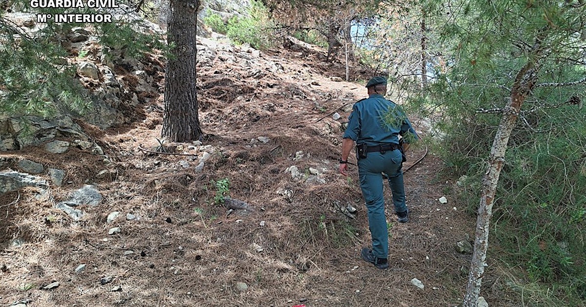 Investigado por provocar 24 incendios forestales en la Serra Grossa de Alicante