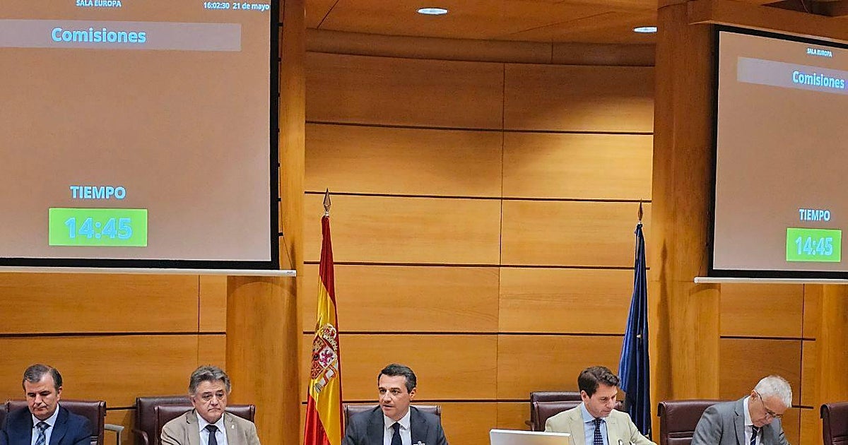 El alcalde de Córdoba comparece en el Senado para pedir agilidad en las licencias urbanísticas
