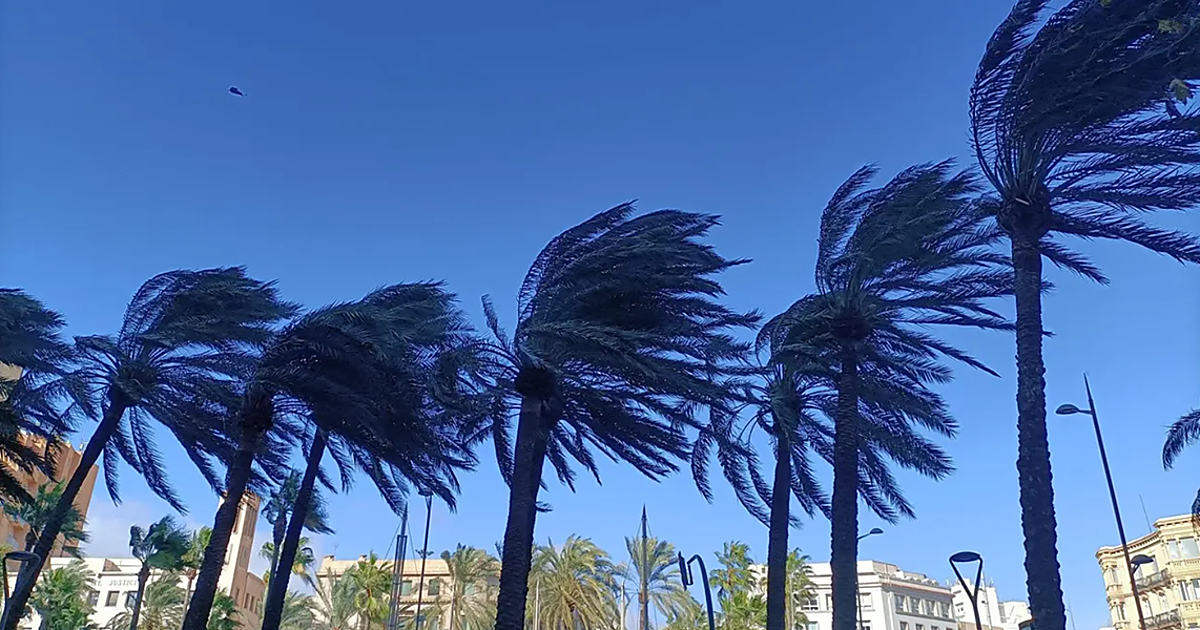 Alerta en Cádiz por levante: las rachas de viento superarán los 70 km/h «hasta final de mes»