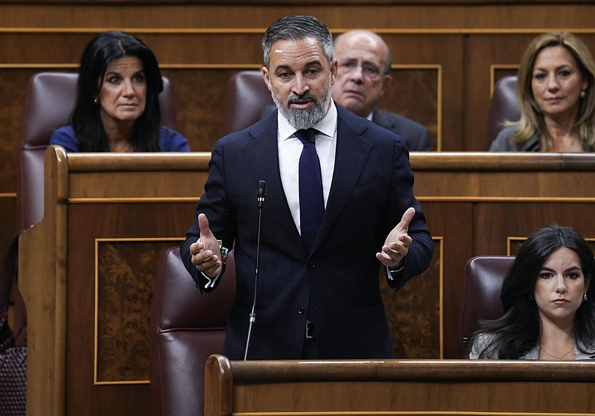 El líder de Vox, Santiago Abascal.