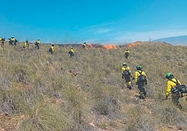 La llegada del calor favorece los primeros fuegos en cinco provincias andaluzas