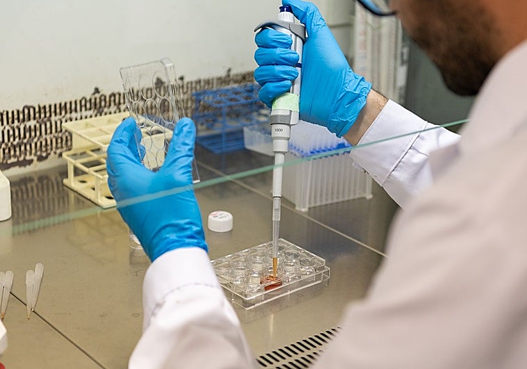 Crean un hidrogel inteligente para tratar las fracturas de huesos
