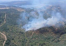 El Infoca logra extinguir el incendio forestal en La Sierrezuela de Adamuz, que ha estado 24 horas activo