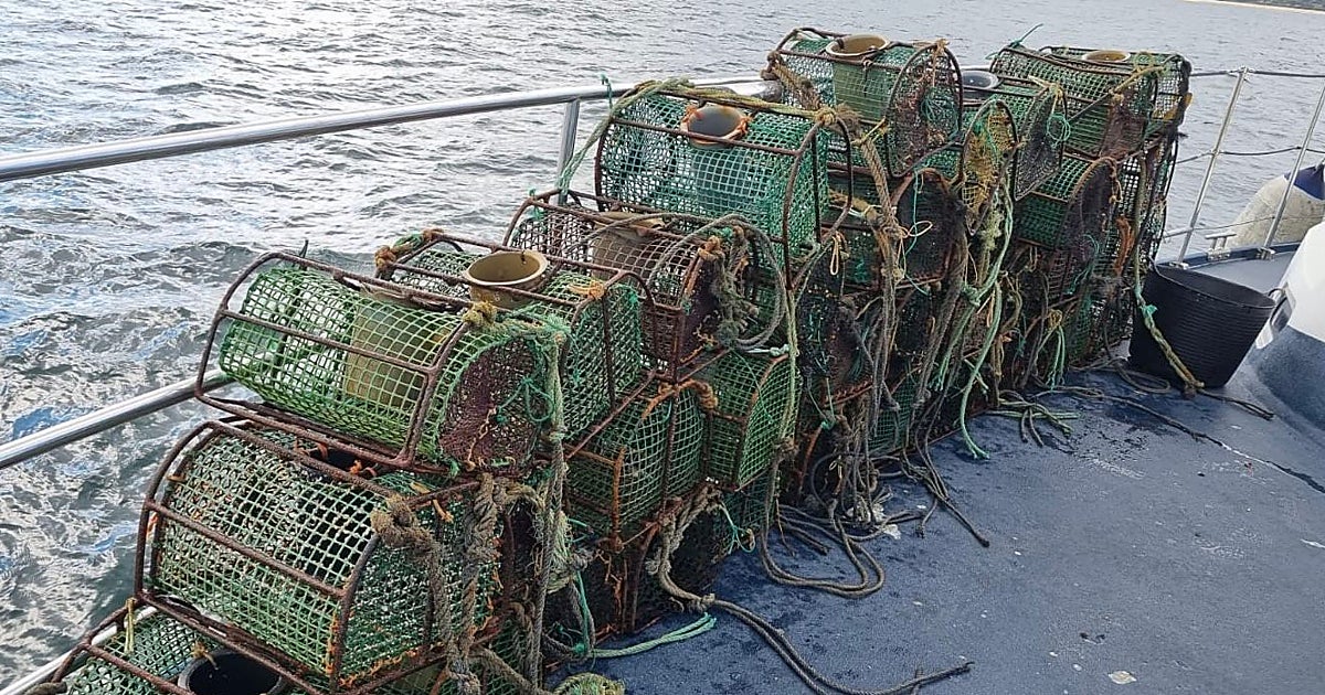 Gardacostas hace balance: casi 670 kilos de pulpo y 783 aparejos ilegales incautados este año