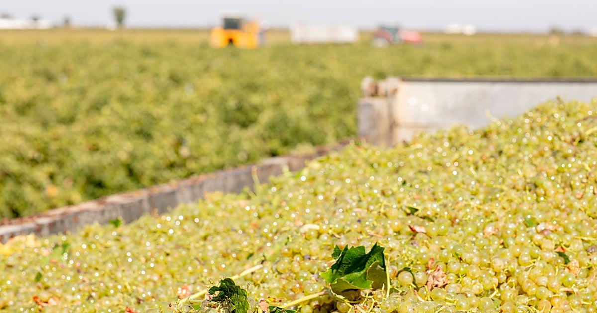 Las compras de Mercadona a proveedores de Castilla-La Mancha sumaron 2.770 millones en 2025