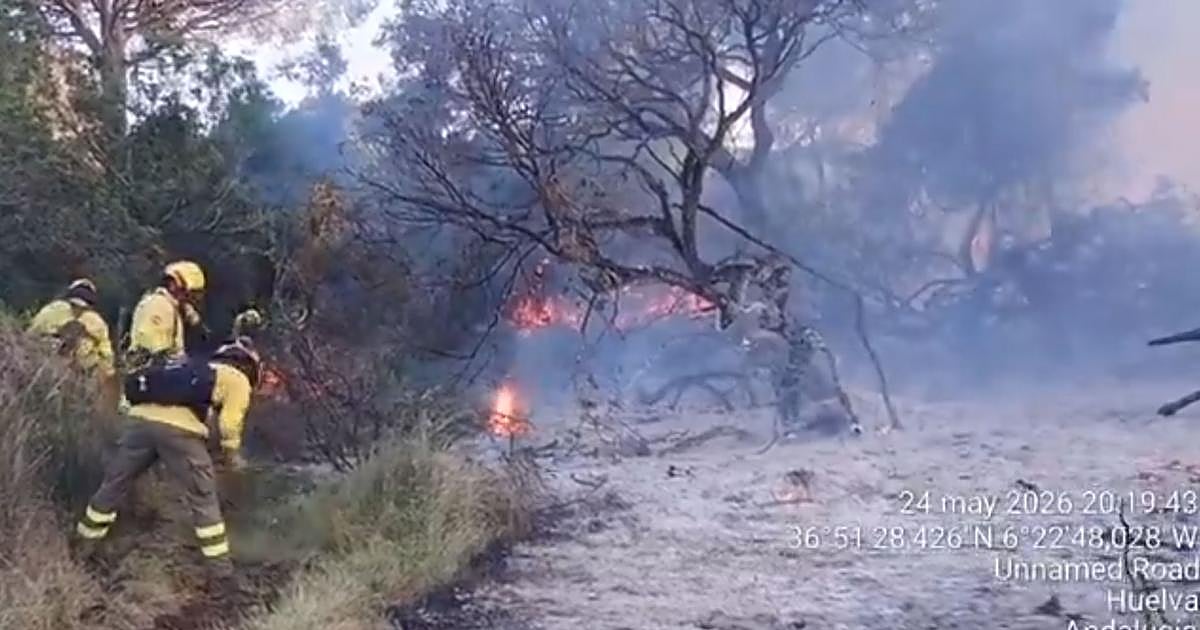 La Junta apunta a una posible intencionalidad en los incendios de Almonte y los desvincula de la romería de El Rocío