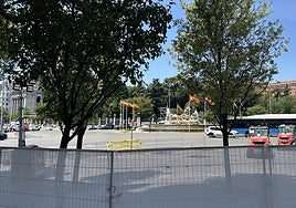 Madrid retira seis árboles de Cibeles para instalar el escenario de la misa que ofrecerá León XIV