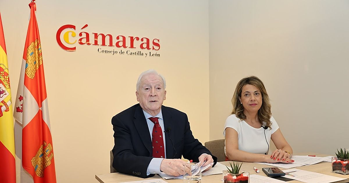 Las cámaras de comercio apuestan por la diversificación sectorial y geográfica en las exportaciones