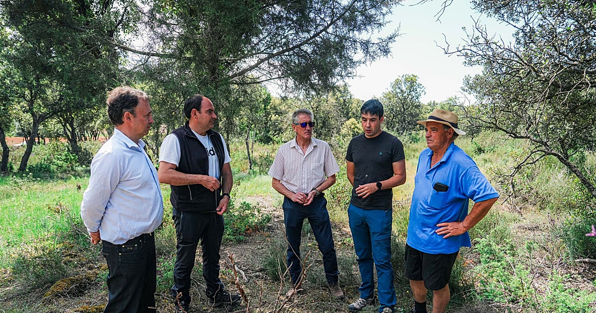 El monte español que vale su peso en oro y casi nunca se quema