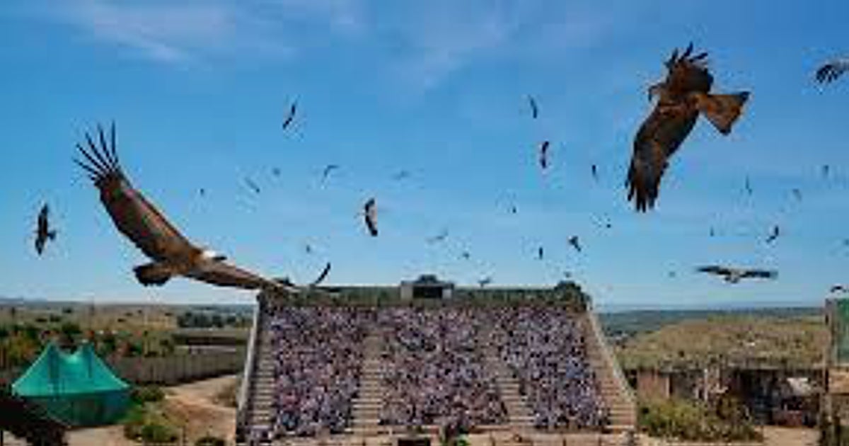 La Junta ahora sí abrirá un expediente tras los «enterramientos irregulares» de animales en Puy du Fou