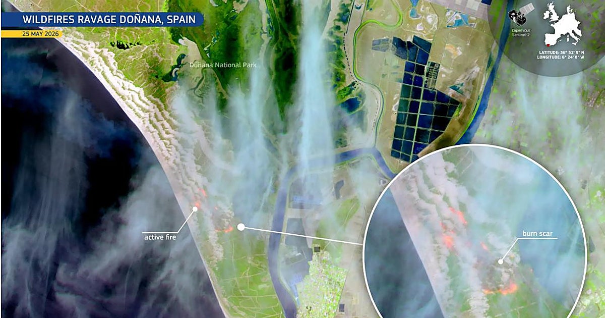 Controlado el incendio forestal de Doñana tras tres días de intensa lucha contra el fuego
