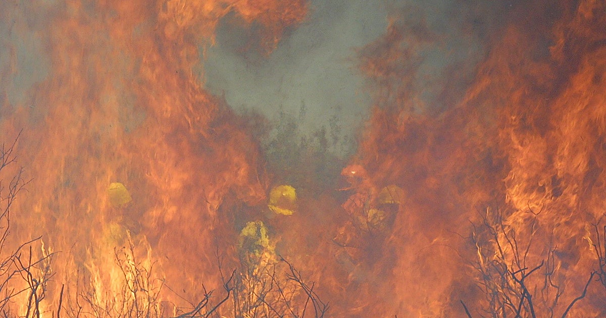 Un millar de bomberos forestales de Castilla y León no acudirán a los incendios ante su «gravísima» inseguridad