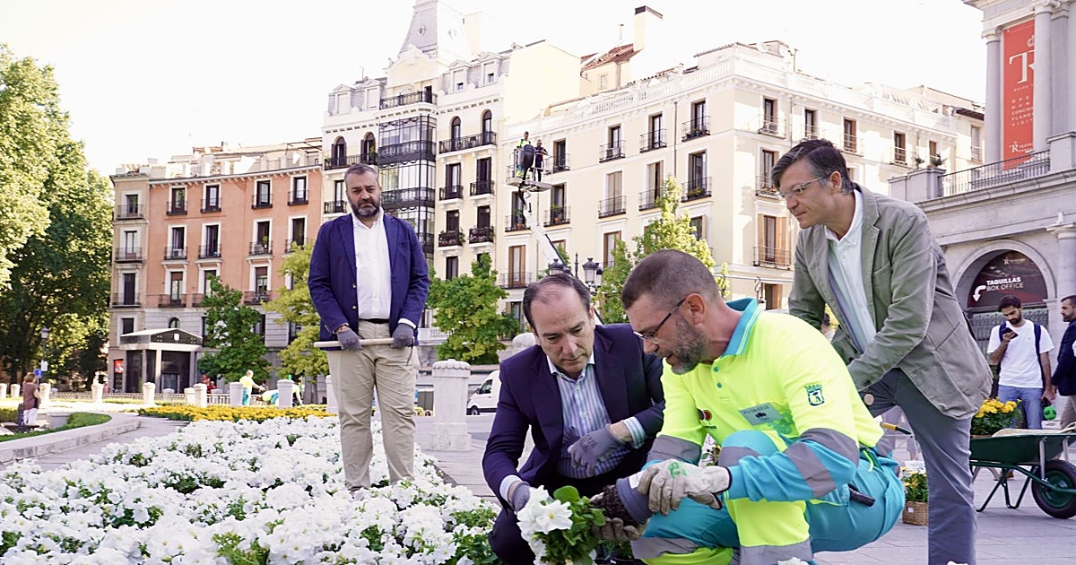 Madrid florece para León XIV: letreros vegetales gigantes y 99.000 flores del color del Vaticano de Cibeles a Debod