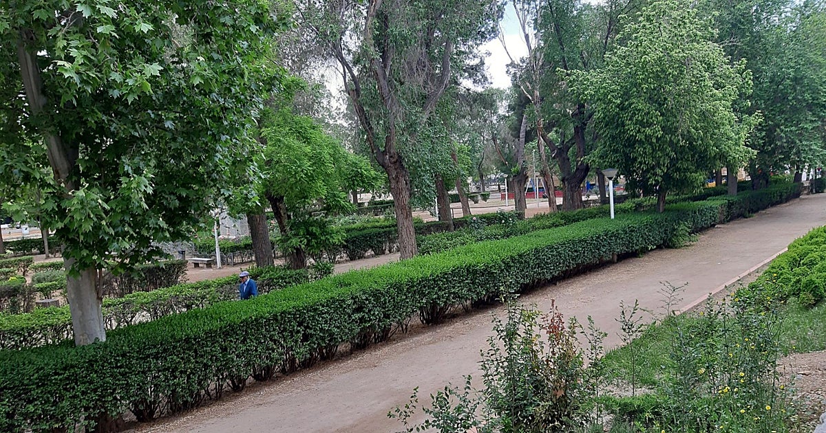 Consuegra aplaza hasta octubre las actuaciones en el Parque Municipal tras las denuncias de vecinos